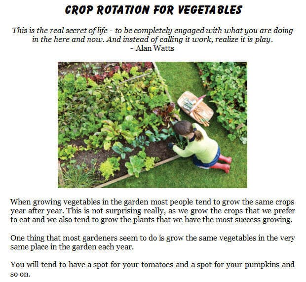 Planning Crop Rotation for Vegetables