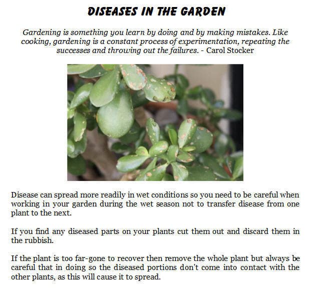Plant Diseases in the Garden