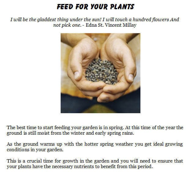 Healthy Feeding for Your Plants