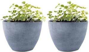 Garden Planters