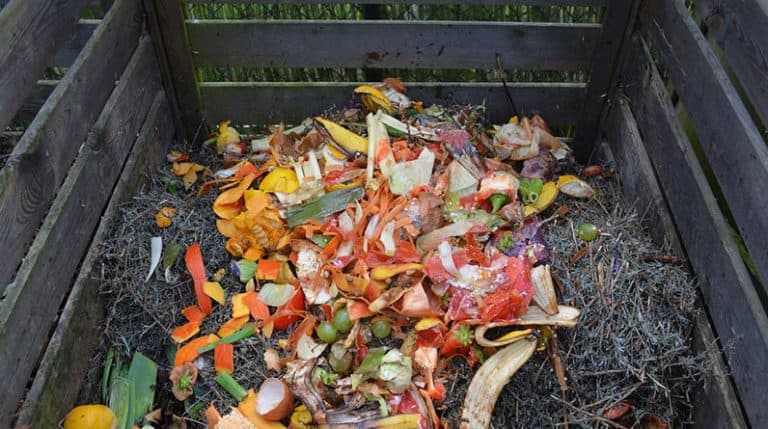 Create Your Own Organic Compost