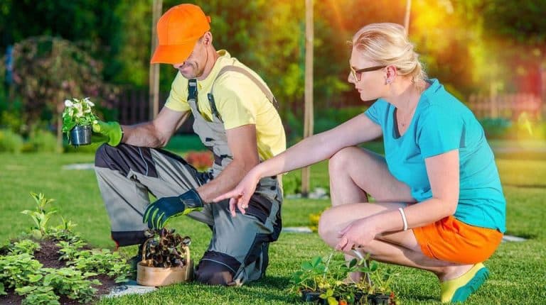 Growing Your Own Organic Food