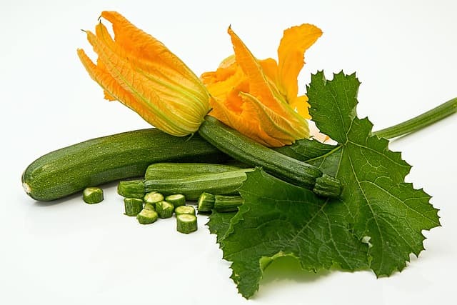 zucchini, vertical gardening
