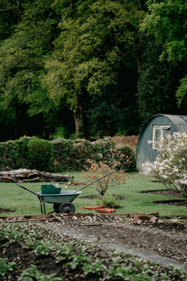 Planting with the Seasons