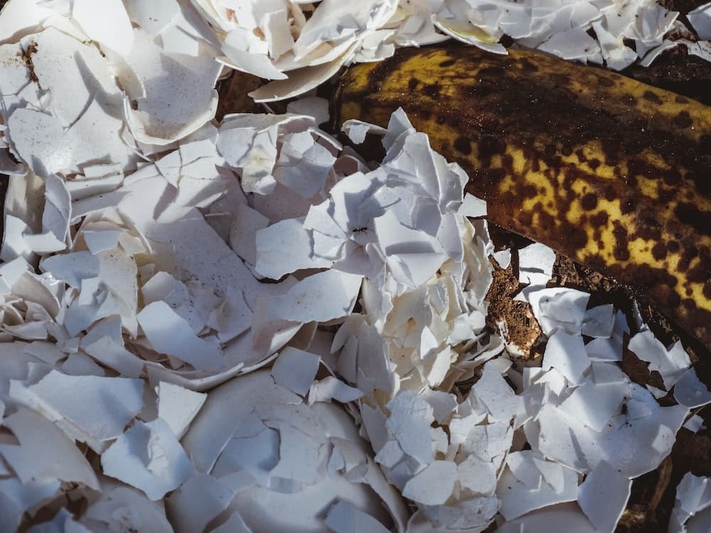 Making Compost