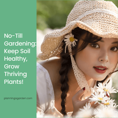 No-Till Gardening Keep Soil Healthy, Grow Thriving Plants!
