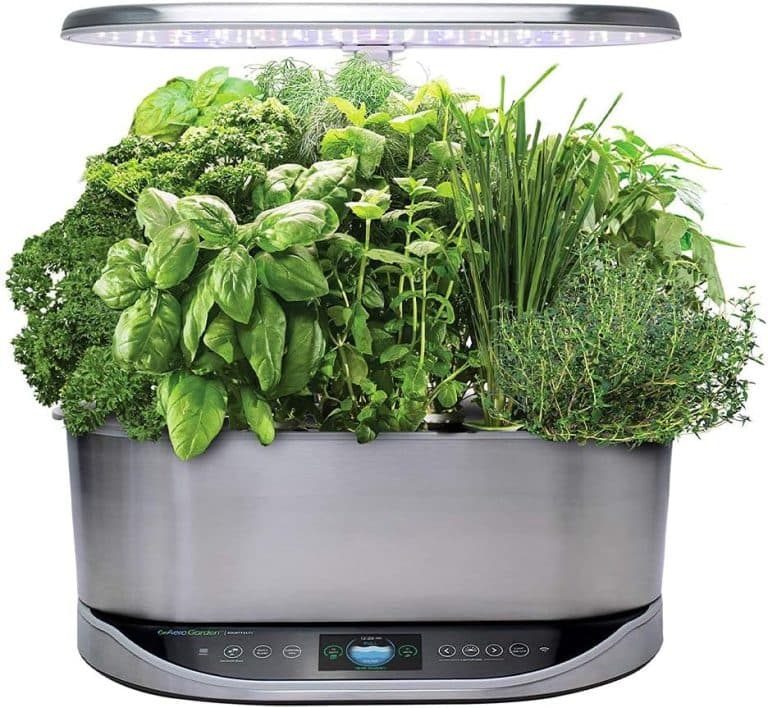 grow food indoors