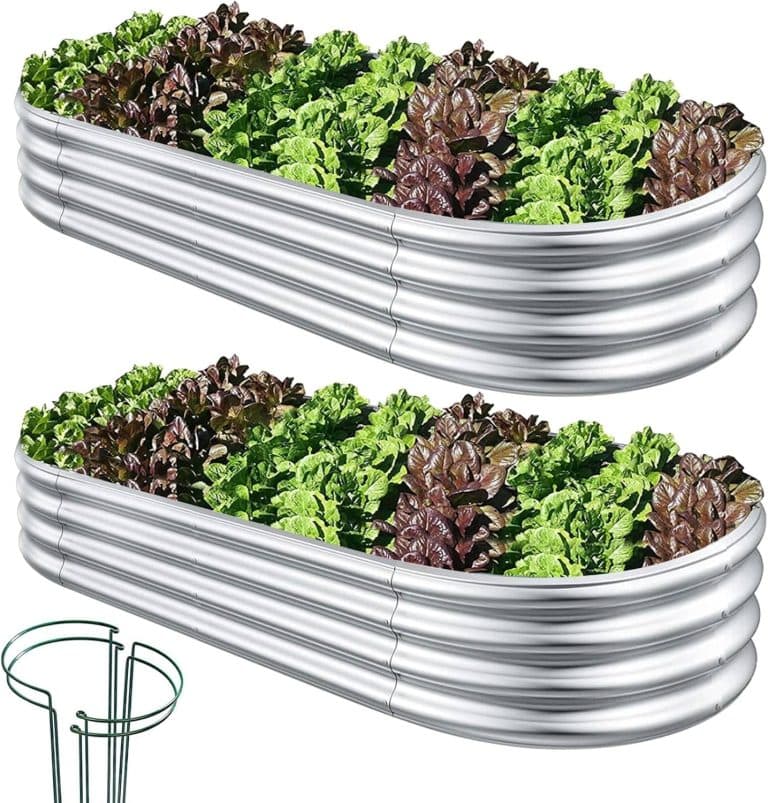 raised garden beds