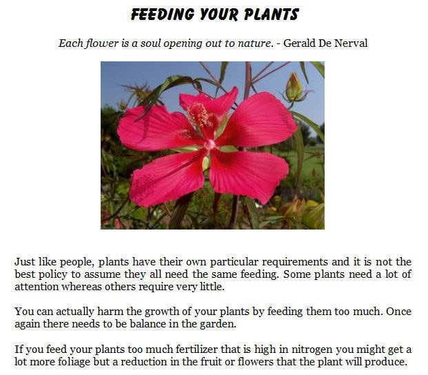 Don't Overfeed Your Plants