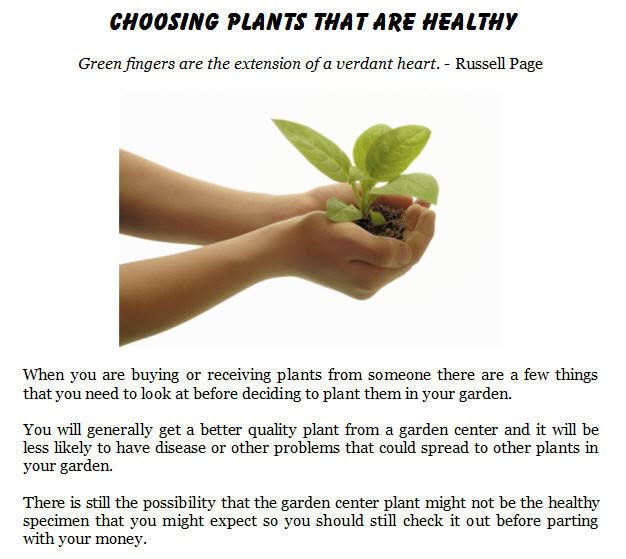 How to Choose Healthy Plants