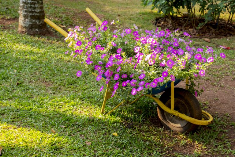 Vegetable Garden Weed Control