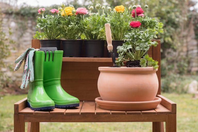 garden basics