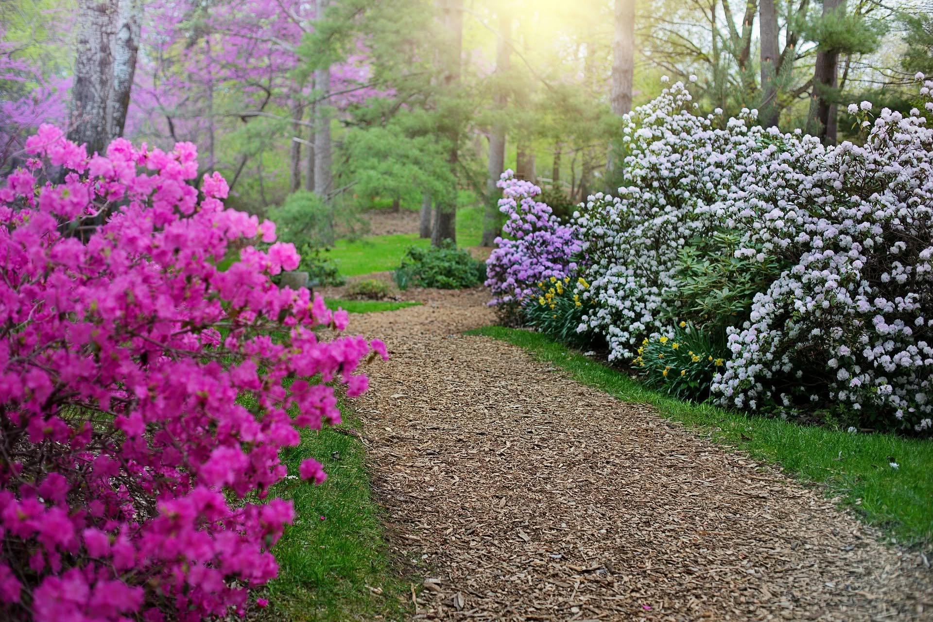 The Benefits of Gardening