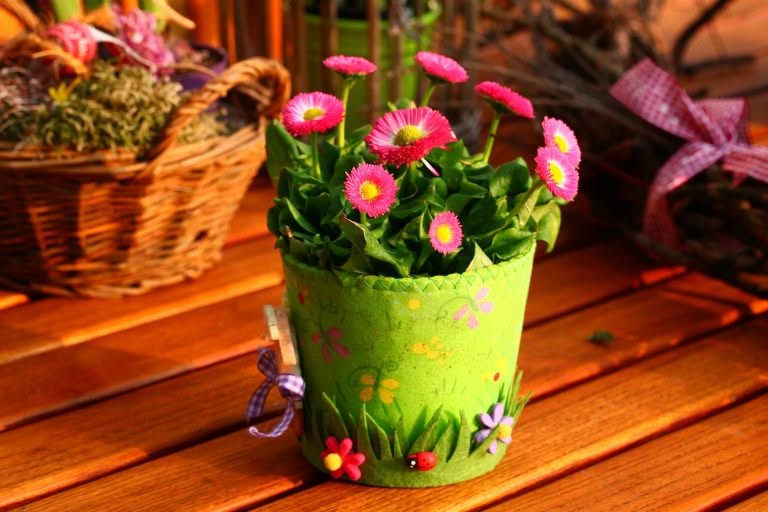 Seed Starter Kits For Gardening For Beginners