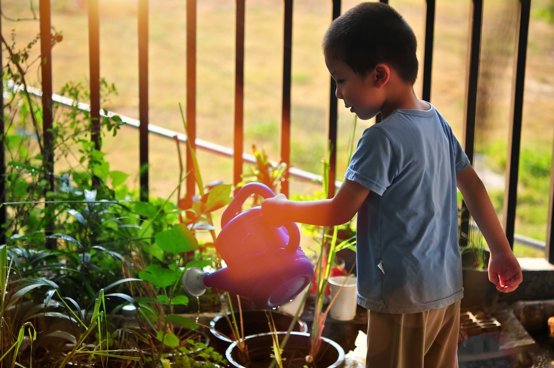 Raised Garden Planner - Planning Your Vegetable Garden
