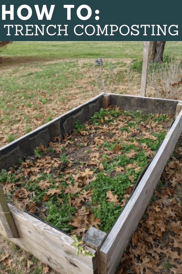 How to Start Composting Your Garden