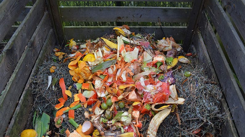Create Your Own Organic Compost
