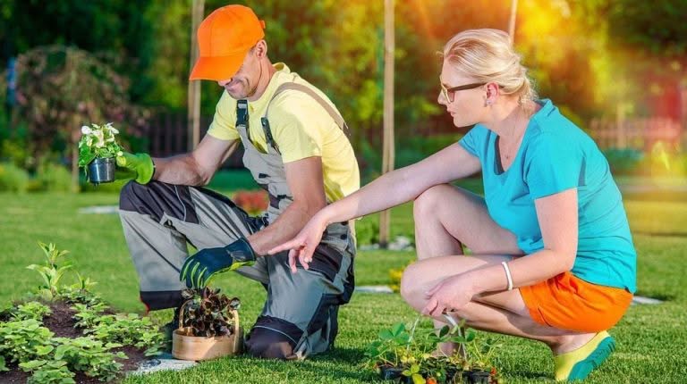 Growing Your Own Organic Food