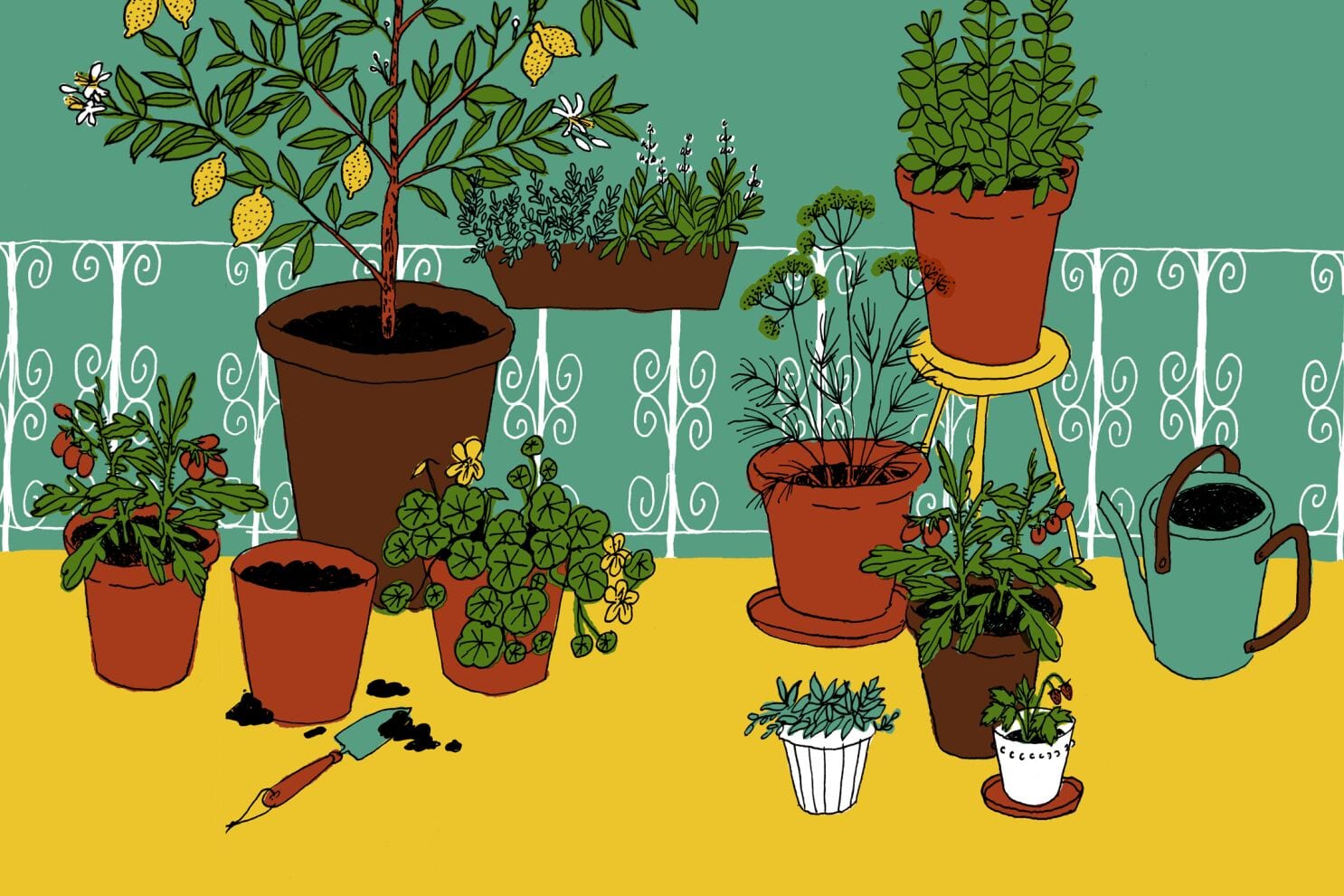 How to Water Your Balcony Garden