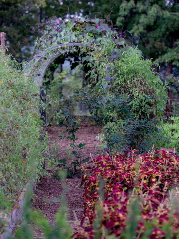 Edible Landscaping Ideas
