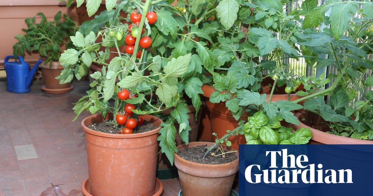 Should You Make a Container Garden on Your Balcony?
