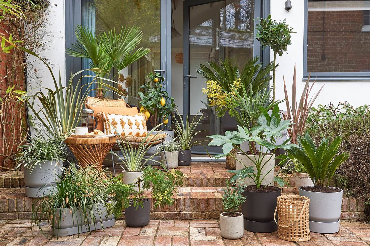 Create Your Balcony Garden on a Budget