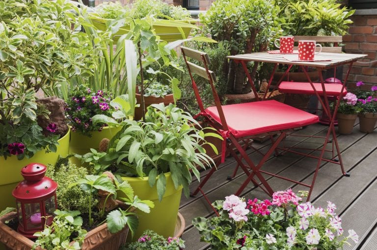 Tips to Making Your Balcony Garden Look Pretty and Inviting