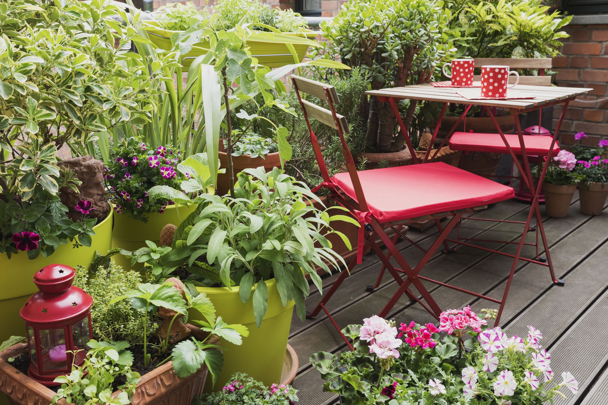 Tips to Making Your Balcony Garden Look Pretty and Inviting
