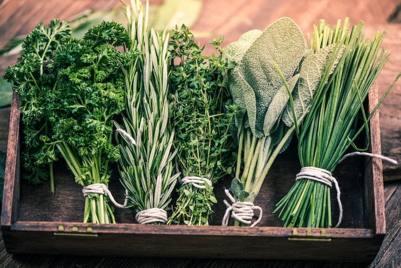 Best Vegetables and Herbs to Plant in Spring