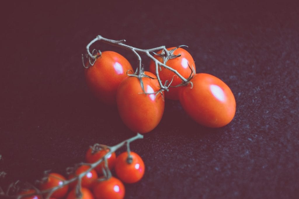 Fertilizing Tomatoes