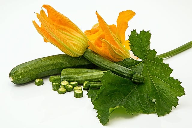 zucchini, vertical gardening