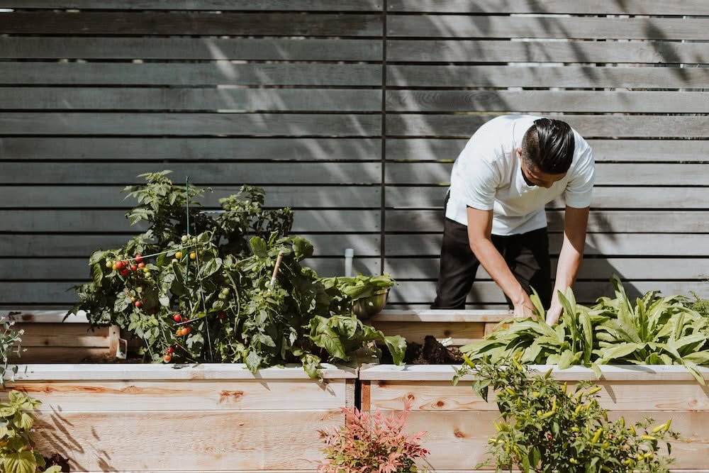 Planting with the Seasons
