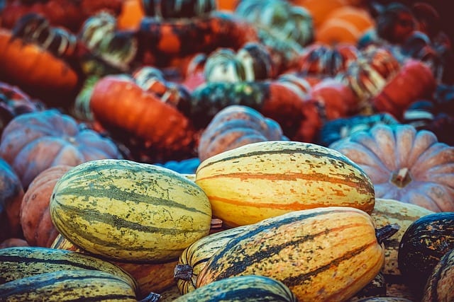 Fall Gardening tips